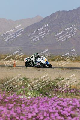 media/Feb-04-2023-SoCal Trackdays (Sat) [[8a776bf2c3]]/Turn 15 Inside Blooming (1050am)/